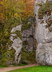 Brama Krakowska Rock Formation, Ojcow National Park, Krakow-Czestochowa Upland or Polish Jurassic Highland, Lesser Poland Voivodeship, Poland