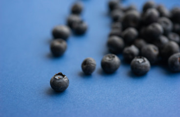 Blueberry berry on a classic blue background.