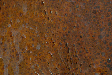 peeling skin burned in the sun, texture