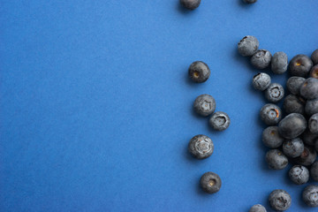 Blueberry berry on a classic blue background.