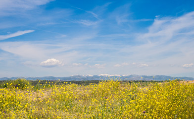 Tarde primaveral con las montañas en el horizonte, Leganés