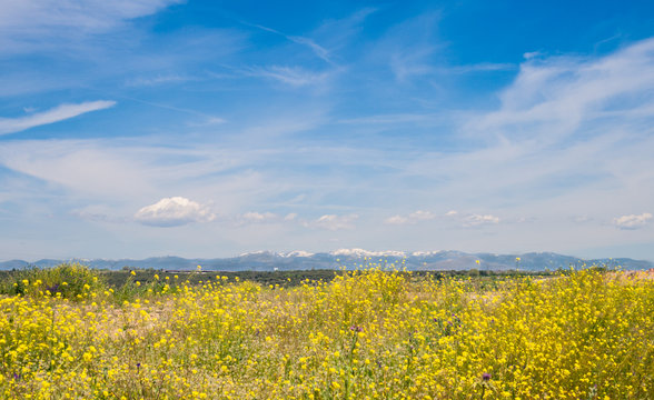 Tarde primaveral con las monta&ntilde;as en el horizonte, Legan&eacute;s