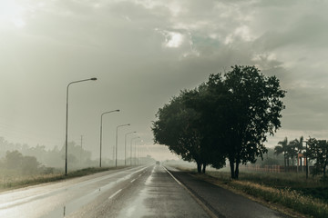 Niebla Celeste