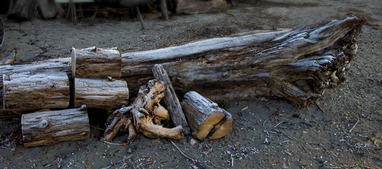 Rohrspitz  am Bodensee - im Winter - wunderbare Stimmung