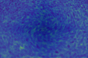 abstract purple background