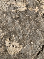 Fototapeta premium Stone structure ground