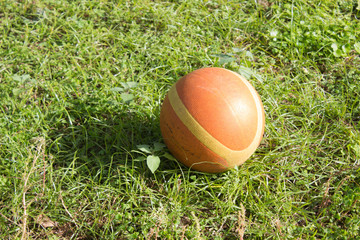 Orange basketball on the grass, green background