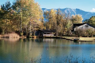 Schwarzes Zeug - Dornbirner Ried - Naturlandschaft 