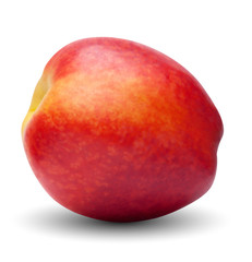 vector peach isolated on white background