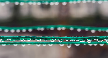 Clean rain drops on the green rope