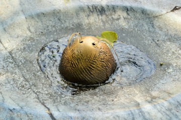 Street fountain for drinking water