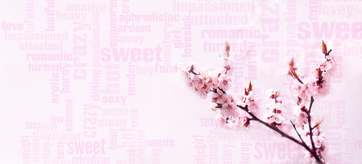 Blooming branch of cherry tree. Romantic word cloud