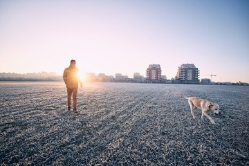 Frosty morning with dog