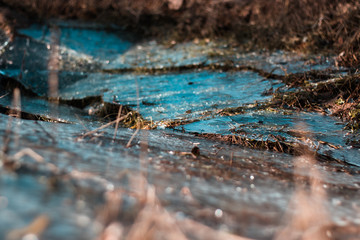 Bluze frozen shattered broken ice shards in a field , orange brown grass around everywhere. Frozen rainwater, cold temperatures, start of winter