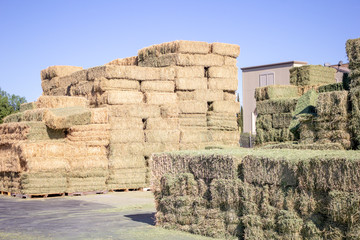 A view of a large stack of hay on display at a local animal feed and supply retail store.