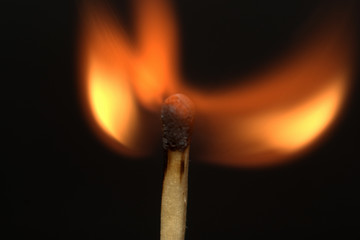 macro shooting of a match sulfur head fire