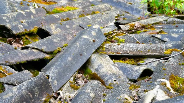 The Asbestos or Silicate minerals on the ground