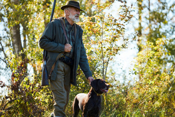 Caucasian senior man go to hunt with his dog labrador retriever in forest. Sunny autumn weather
