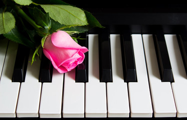 Little rosebud on the piano. Flower on a musical instrument. Birthday, March 8, international...