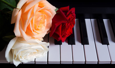 Three colored roses on the piano. Flowers on a musical instrument. Birthday, March 8, international women's day, February 14, Valentine's day, mother's day, flower day. Card, gift, romance, date, love