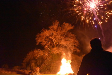 Fireworks in night sky