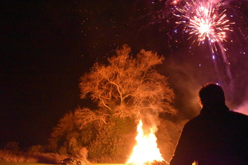 Fireworks in night sky