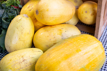 A closeup view of several spaghetti squash on display at a local farmers market.