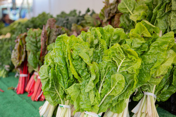 A view of several varieties of leafy green vegetables on display at a local farmers market.