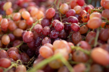 A view of fresh red seedless grapes on display at a local farmers market.