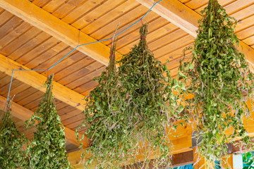 Spearmint leaves hanging from wooden roof left to dry
