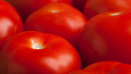 Red tomatoes. Close up