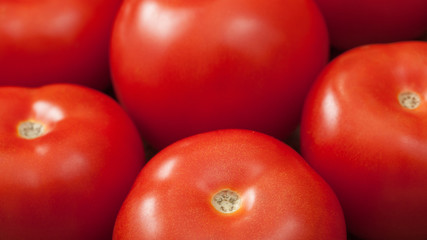 Red tomatoes. Close up