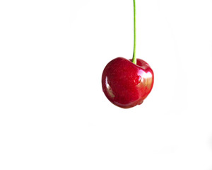 Cherry on a leg on a white background