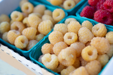 A closeup look at a several containers of white raspberries on display at a local farmers market.