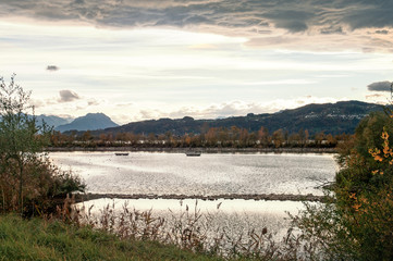 Laguna - Rheindelta - Fußach - Naturschutzgebiet