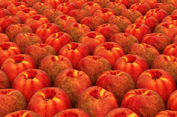 Background from peaches with realistic texture, 3D rendering