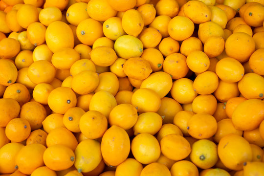 A background full of yellow meyer lemon on display at a local farmers market.