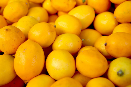 A background full of yellow meyer lemons.