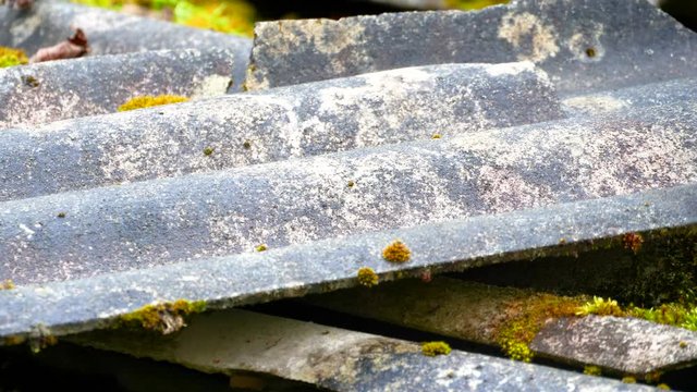 The scattered asbestos on the ground