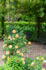 Obraz premium The Tiergarten, walk through the green beautiful park in central Berlin , green lawns and beautiful flowers