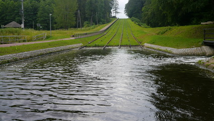 Tory w wodzie © Marcin