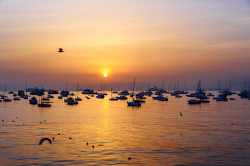 Fisherman boats in water of Arabian Sea on sunrise. Mumbai. India