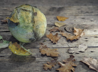 Autumn. Fork of dried old cabbage on a wooden shabby background with dried autumn leaves. Art photo.