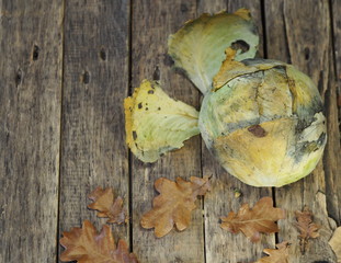 Autumn. Fork of dried old cabbage on a wooden shabby background with dried autumn leaves. Art photo.
