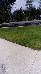 path in park