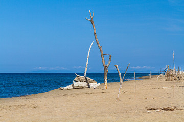 Sandstrand am Meer mit Treibholz und Blauem Himmel