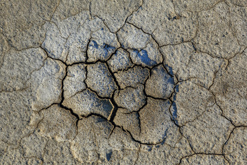 Texture of dry desert, background