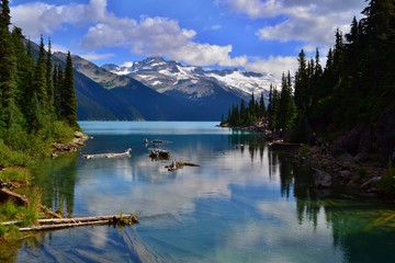 Beautiful blue Garibaldi Lake surrounded by trees and mountains covered with glacier. Blue sky, white clouds, green trees, branches in the water. 