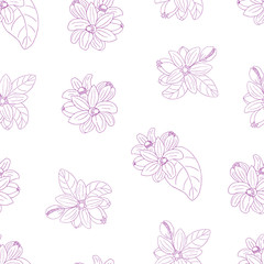 Fototapeta na wymiar Herbs, spices and seasonings collection. Vector hand drawn seamless pattern with flowers of Citrus Bergamia on a white background