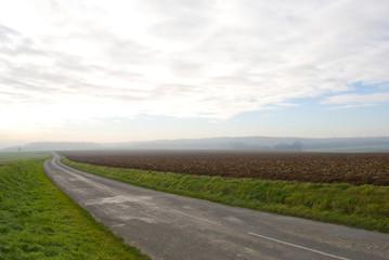 Fototapeta premium Route au milieu de champs cultivés par un temps brumeux. Road in the middle of fields cultivated by foggy weather.
